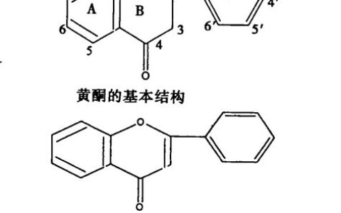 黄酮类化合物主要包括什么(黄酮类化合物主要包括黄酮苷类花青素类异黄酮类黄酮类)