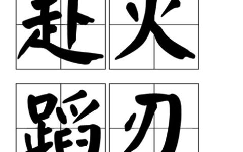 蹈字开头的成语接龙(火字开头的成语)