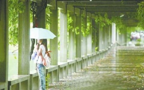 南方梅雨季节怎么除湿气(南方梅雨季节除湿机有用吗)