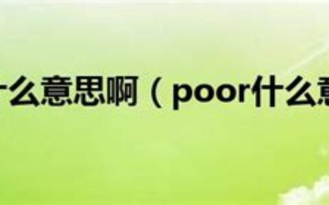 poor什么意思中文(clever是什么意思)