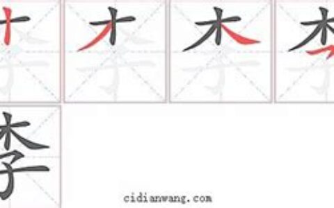 李多少画笔画(李字多少画)