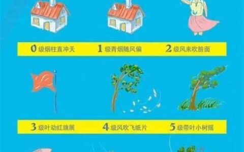 五级风是什么概念?(五级风属于什么风)