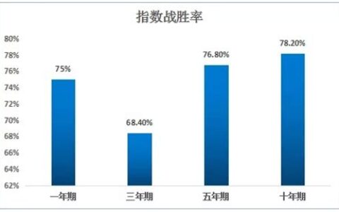 指数基金是什么意思(指数基金是什么类型的基金)