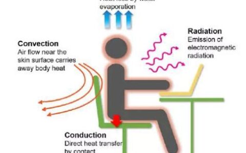 人体散热的方式有哪四种(人体散热的方式有哪四种高中生物)