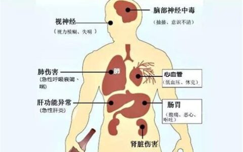 甲醇对人体的危害有多大(甲醇有毒吗 对人体有危害吗)