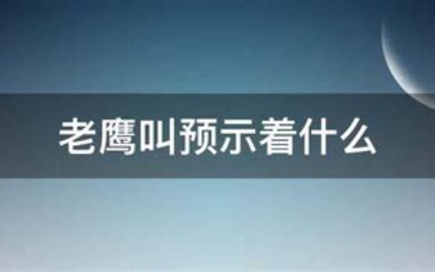 老鹰叫预示着什么寓意(老鹰叫是什么意思)