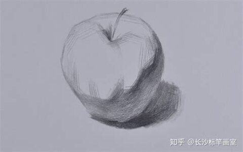 苹果的结构素描和素描图片(苹果的结构素描怎么画)